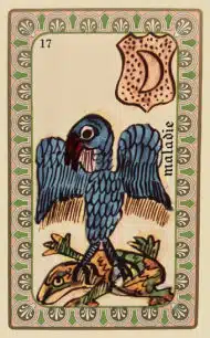 Maladie Oracle Belline - carte n°17